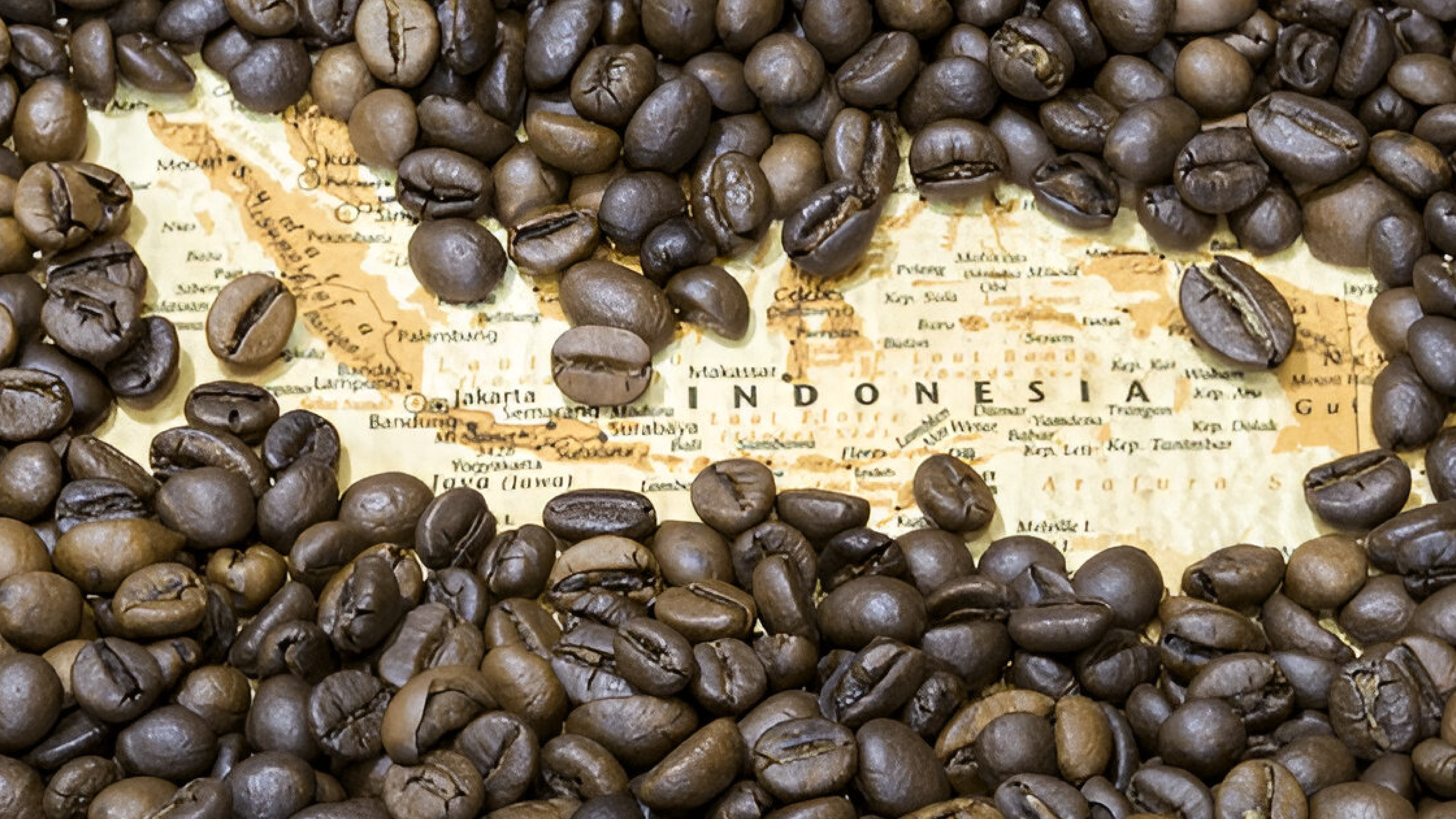 Coffee-01